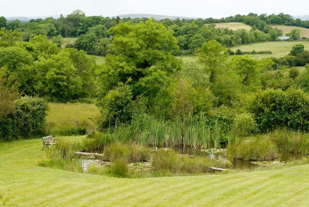 Lake Rise Holiday Home At Kilmaddaroe Carrick-on-Shannon Room photo